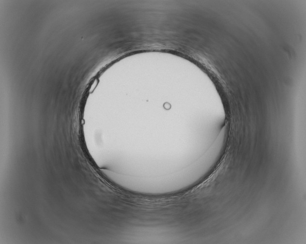 X0000111951173200909071314
