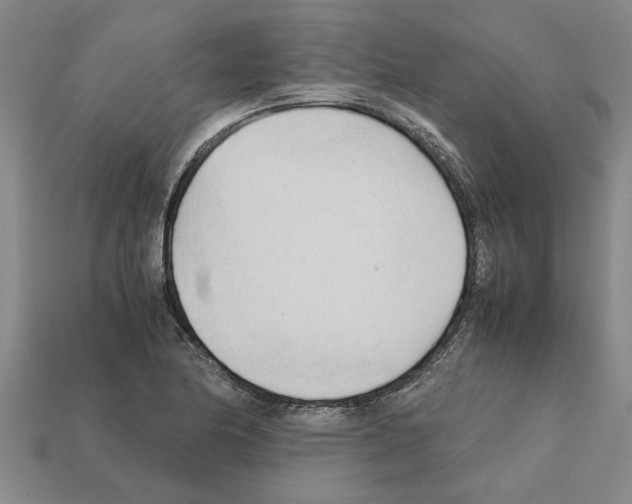 X0000111951174200909071314
