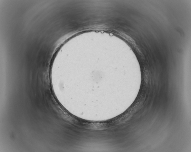 X0000111951176200909071314