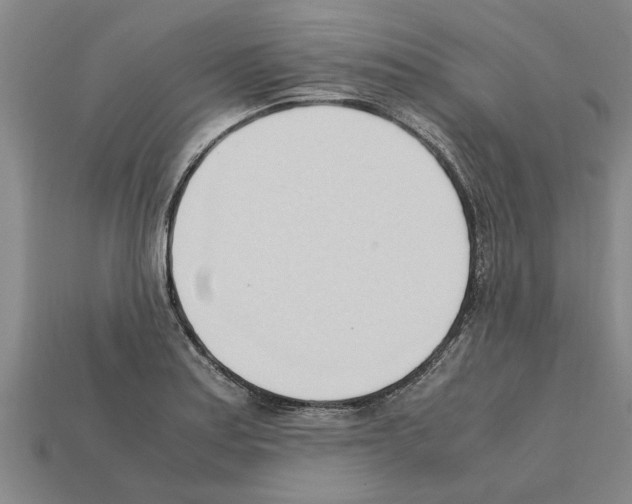 X0000111951179200909071314