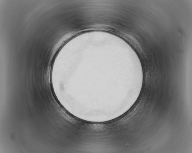 X0000111951180200909071314