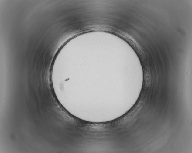 X0000111951182200909071314