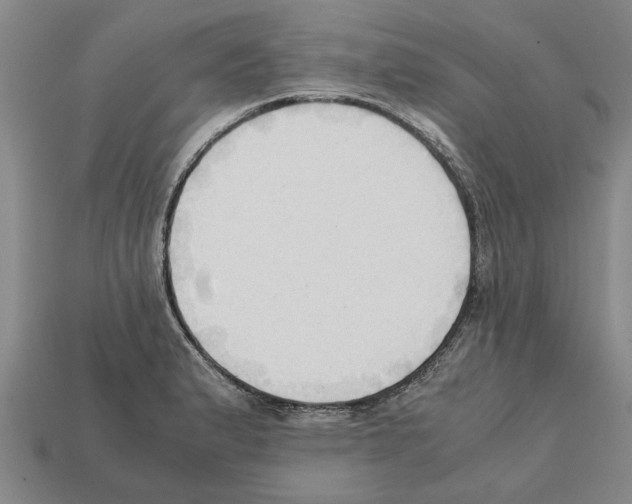 X0000111951183200909071314