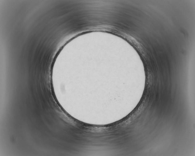 X0000111951184200909071314