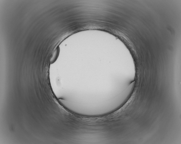 X0000111951185200909071314