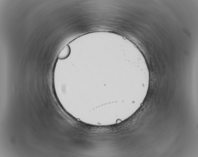 X0000111951187200909071314