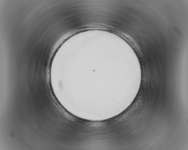 X0000111951188200909071314