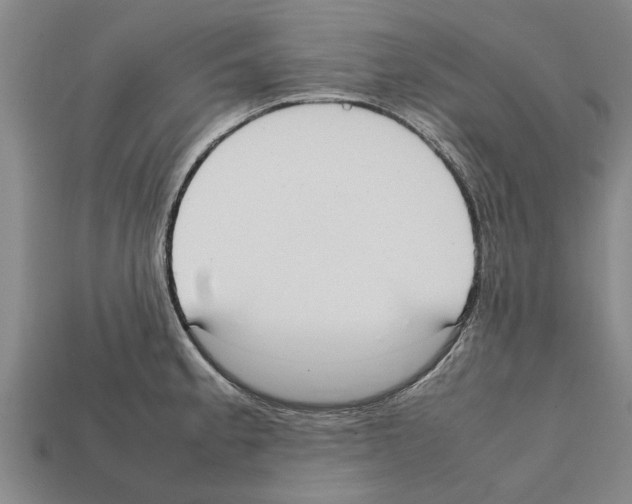 X0000111951189200909071314