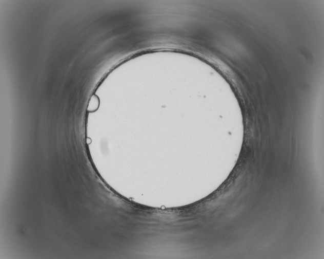 X0000111951191200909071314