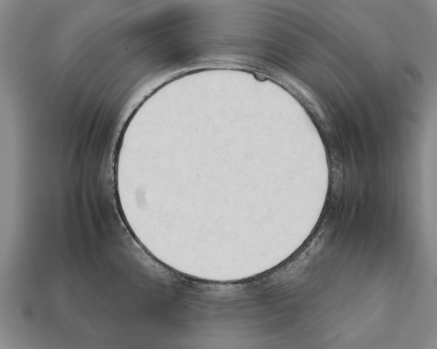 X0000111951192200909071314