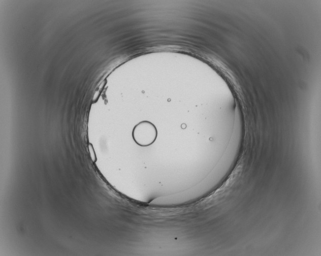 X0000111951193200909071314