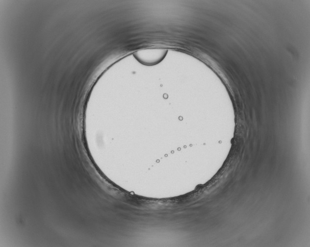 X0000111951195200909071314