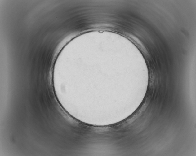X0000111951196200909071313