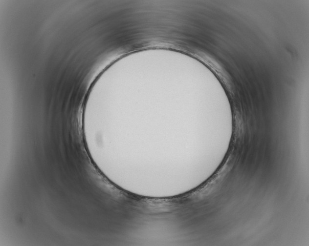 X0000111951198200909071313