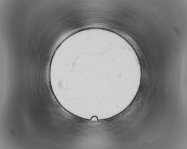 X0000111951199200909071313