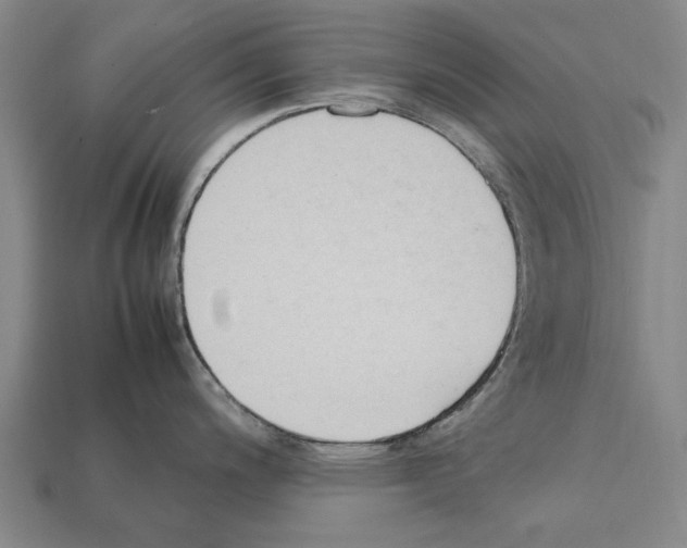 X0000111951200200909071313