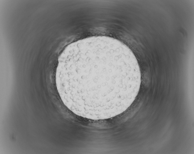 X0000111951201200909071313