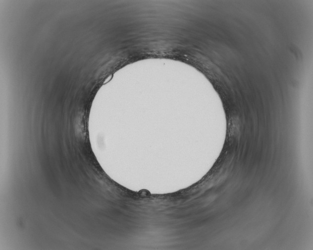 X0000111951202200909071313