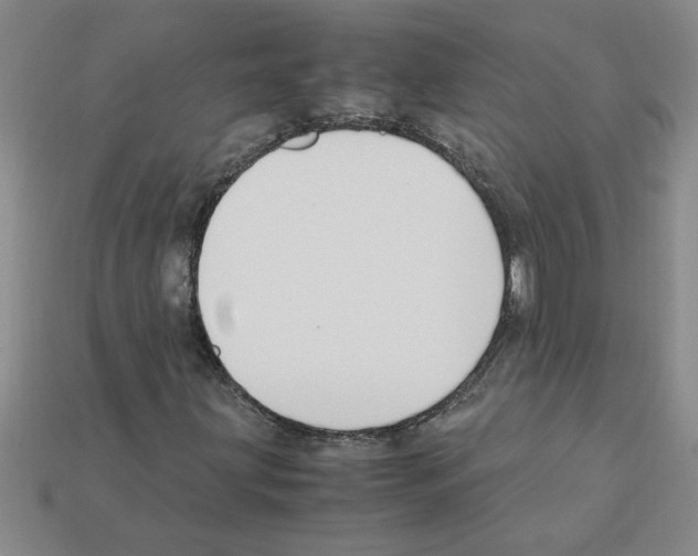 X0000111951203200909071313