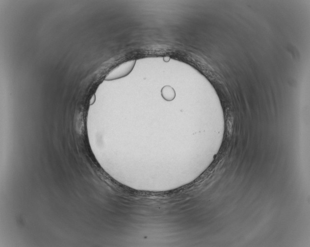 X0000111951204200909071313