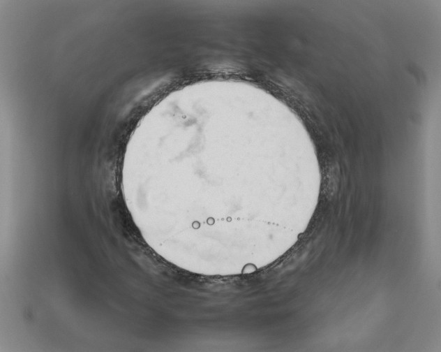 X0000111951205200909071313