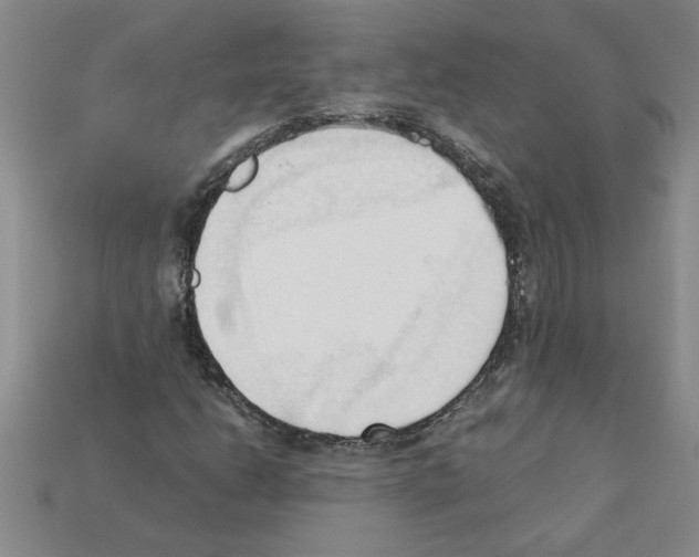 X0000111951206200909071313