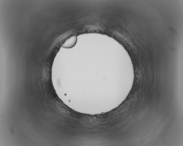 X0000111951207200909071313