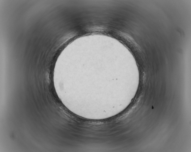 X0000111951209200909071313