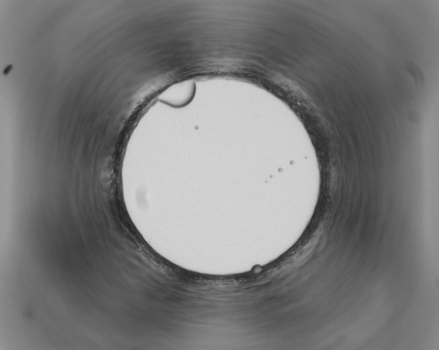 X0000111951210200909071313