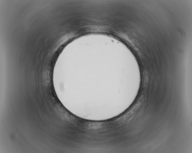 X0000111951211200909071313