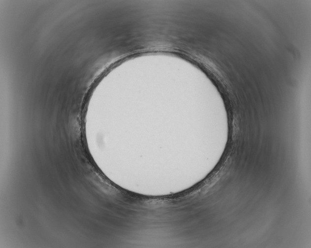 X0000111951212200909071313