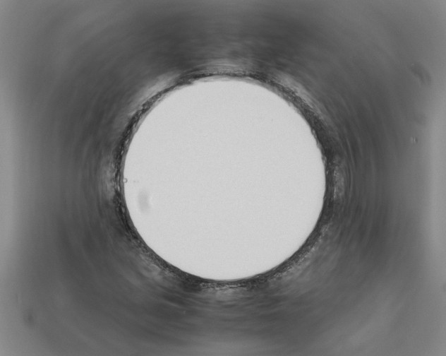 X0000111951213200909071313