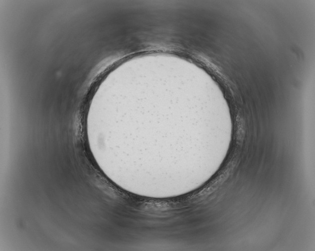 X0000111951215200909071313