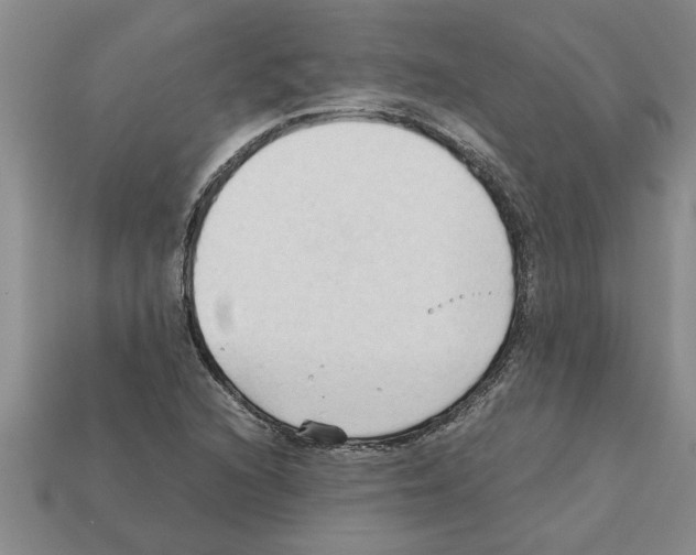X0000111951216200909071313