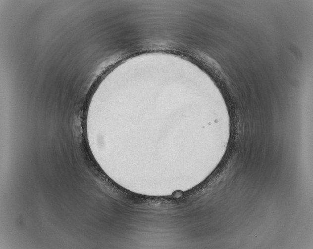 X0000111951218200909071313