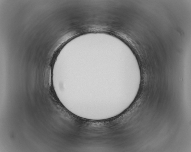 X0000111951219200909071313