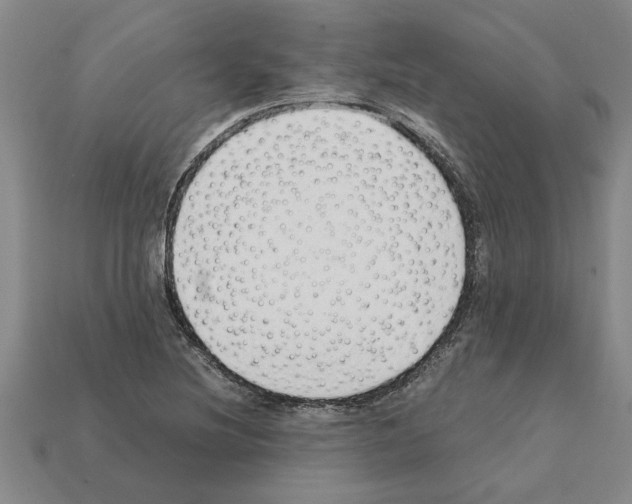 X0000111951220200909071313