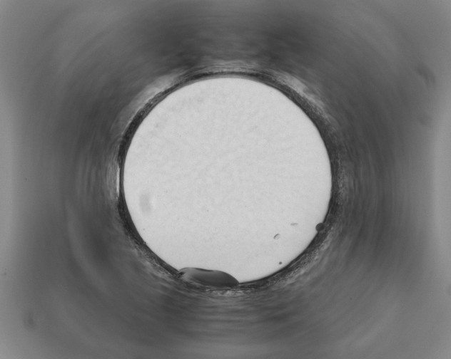 X0000111951221200909071313