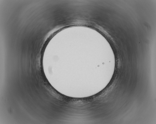 X0000111951222200909071313