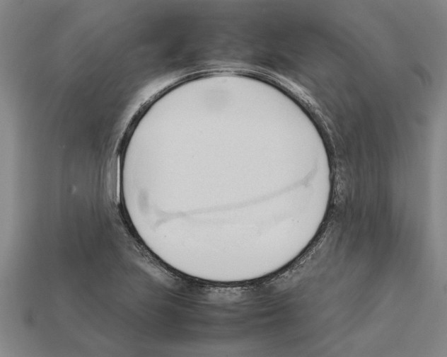 X0000111951223200909071313