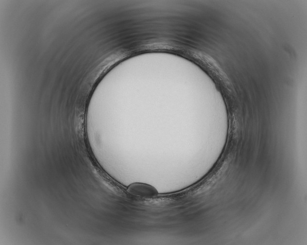 X0000111951225200909071313
