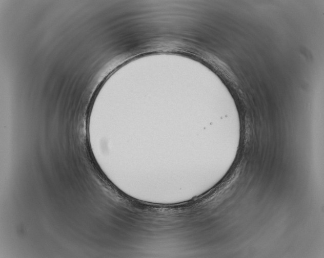 X0000111951226200909071313