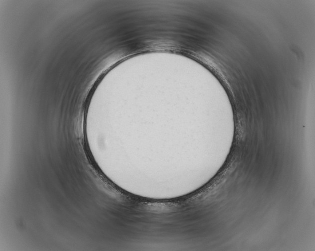 X0000111951227200909071313