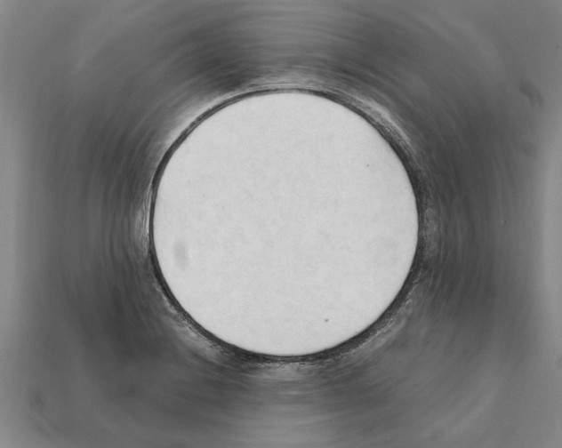 X0000111951228200909071313