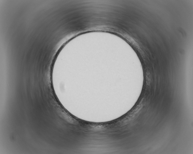 X0000111951230200909071313