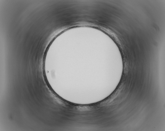 X0000111951231200909071313