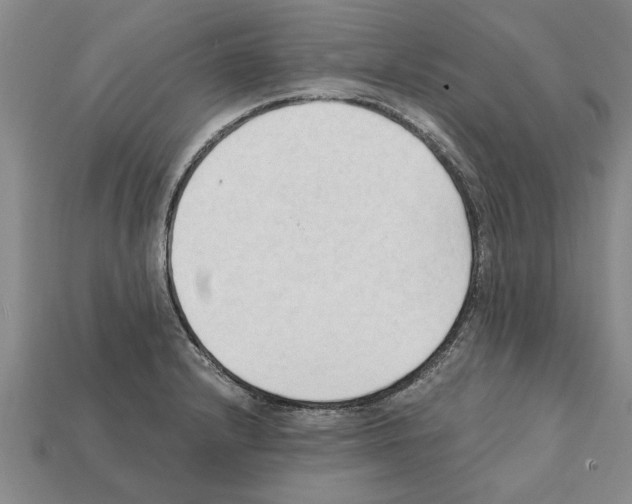 X0000111951232200909071313