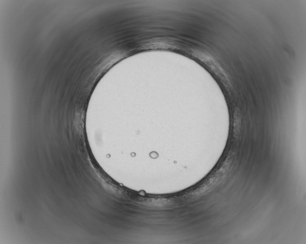 X0000111951233200909071313