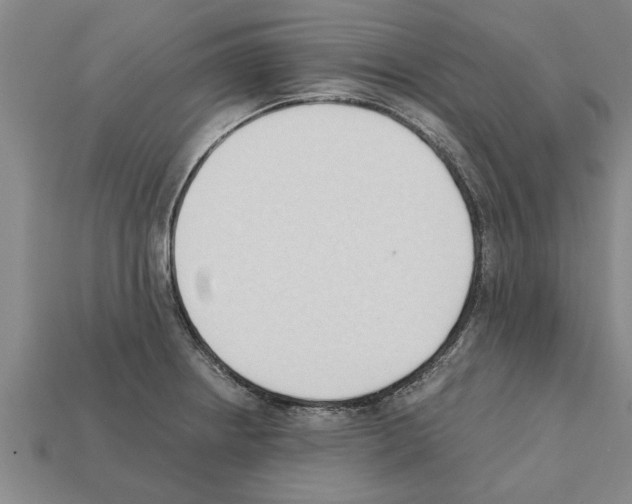 X0000111951234200909071313