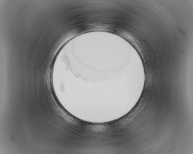 X0000111951235200909071313